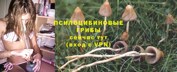 бошки Слюдянка