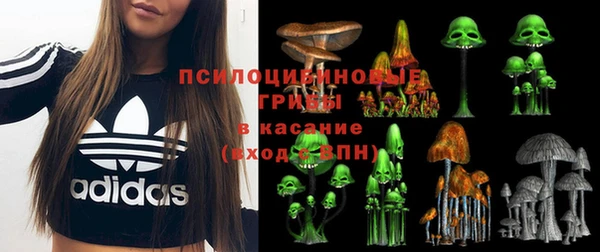 ГАЛЛЮЦИНОГЕННЫЕ ГРИБЫ Семёнов