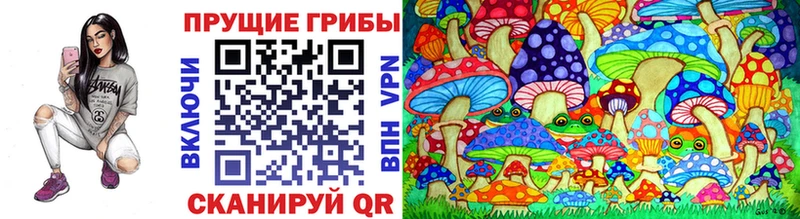 Галлюциногенные грибы Cubensis  OMG онион  Нижневартовск 
