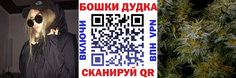 Каннабис план  где купить наркотик  Нижневартовск 